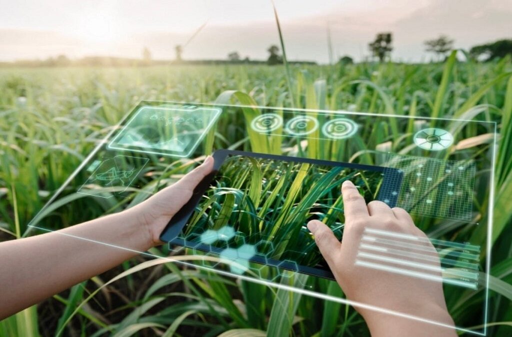 The Future of Farming: AI in Agriculture, Benefits, and Uses