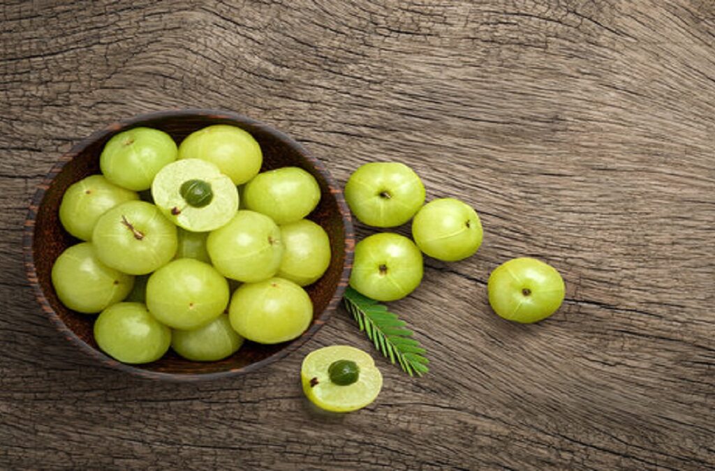 The Indian Gooseberry: Amla’s health benefits and Medicinal use