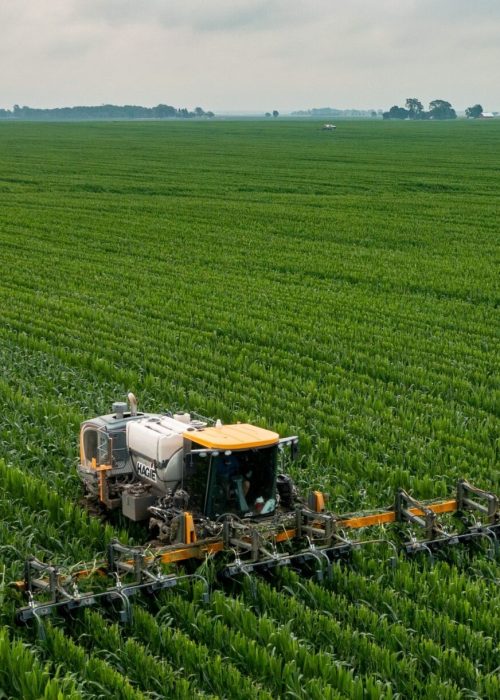 Vertical Image Of Organic Farming